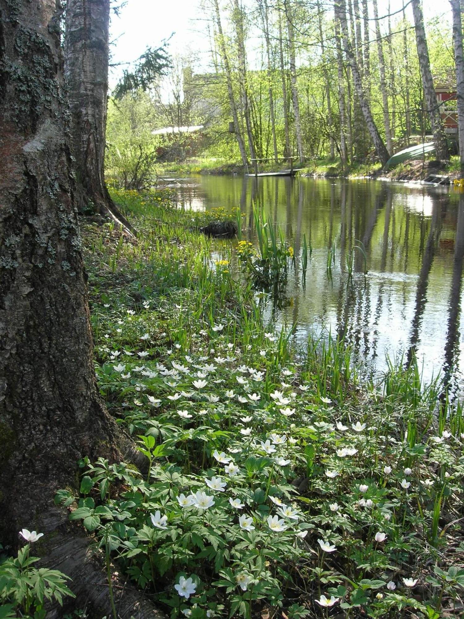 Portaan Nahkurinverstas Porras Bagian luar foto